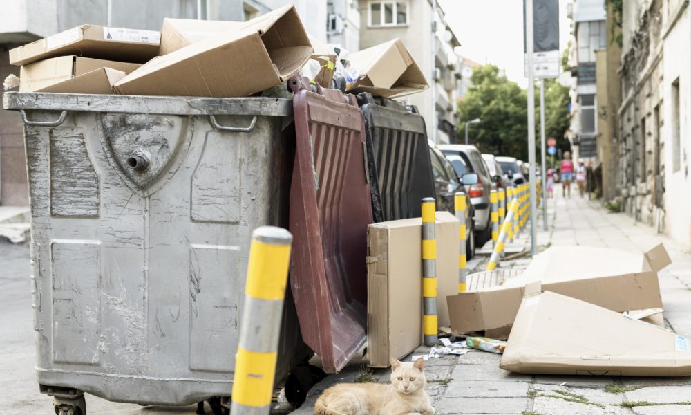 La traçabilité des déchets : une attente forte en matière d’écoresponsabilité