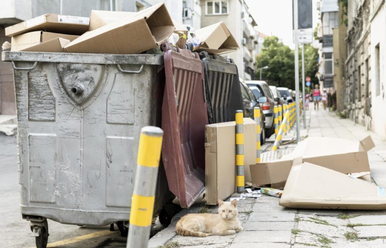 poubelles extérieures